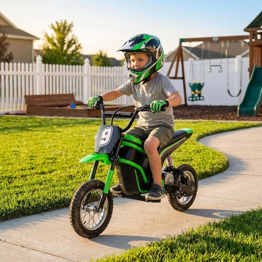 Hetoy 24V 350W Electric Dirt Bike